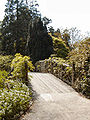 Trelissick: Brücke zwischen den Gartenteilen