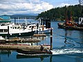 Friday Harbor