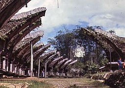 Allée de maisons torajas.