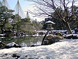 兼六園の雪吊