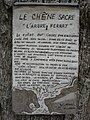 Écriteau anonyme cloué sur l'arbre[65].