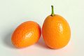 Kumquat umum