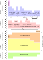 Schweizer Bildungssystem