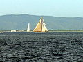 Sailing regatta in front Monte Argentario