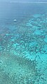 Hastings Reef - Cairns