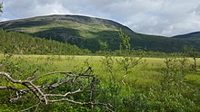 Vadvetjåkka Marshland.jpg