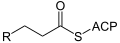 Deutsch: Struktur von Acyl-ACP, 3 C dargestellt English: Structure of acyl-ACP, 3 C shown