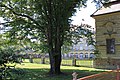 Englischer Garten