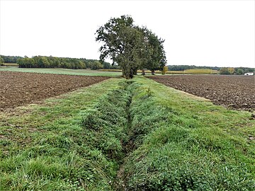 L'Escourou à sec en limites de Mescoules (à gauche) et Saint-Julien-d'Eymet.