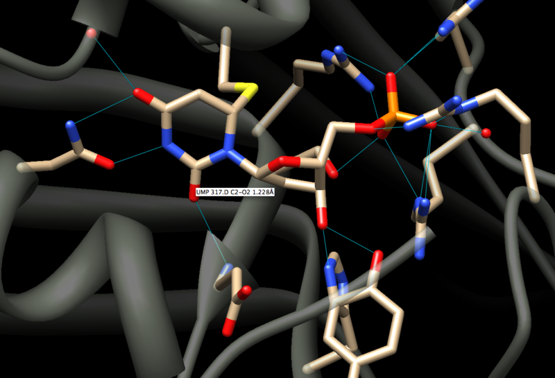 File:Active site of Thymidylate Synthase.png