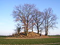 Gerichtsberg bij Kagenow