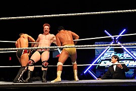 WWE Smackdown IMG 0368 (11705100334).jpg