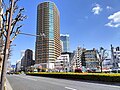 新宿税務署通り