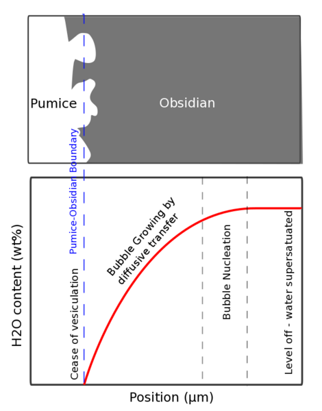 File:Schematic diagram of Water concentration profile.png