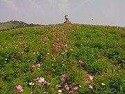 木蘭草原