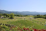 国営讃岐まんのう公園 （まんのう町）