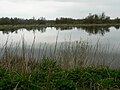 Marais du Grand Hazé de Briouze