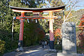 Torii