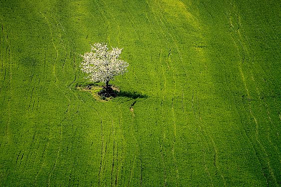 National park Fruška Gora © Gojko Galić