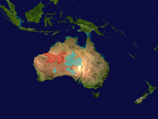 alt=Mapa de distribución de Notoryctes sp. * Notoryctes caurinus (en rojo) * Notoryctes typhlops (en azul)