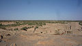 Oasis Tingheras (Rissani) Tafilálet/تافيلالت/ⵜⴰⴼⵉⵍⴰⵍⵜ (L'oasis du Tafilalet vu du ksar de Tingheras (Rissani))