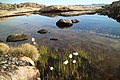 * Nomination: Natural bathtub near Sermilik station, Ammassalik Island, South East Greenland --Clemens Stockner 11:49, 29 July 2020 (UTC) * * Review needed