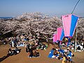 2012年4月22日 (日) 16:07時点における版のサムネイル