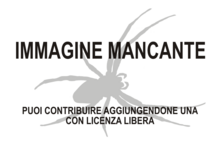 Immagine di Vectius niger mancante