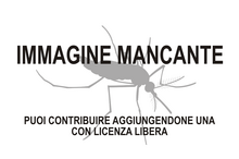 Immagine di Megatypus mancante