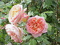 Abraham Darby