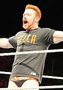 Sheamus April 2014.jpg