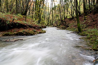 Een rivier in Kroatië