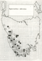 Distribution of A. odorata in Tasmania.[14] Darker dots represent higher concentration of specimens.