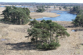 Uitzicht over de Mispeleindse- en Neterselse Heide.