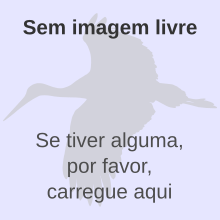 Falta imagem aves.svg