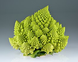 Romanesco broccoli, showing self-similar form approximating a natural fractal