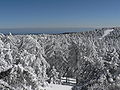 Image 41The Troodos Mountains experience heavy snowfall in winter. (from Cyprus)