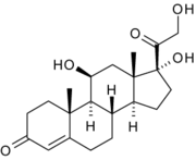 Image illustrative de l’article Cortisol