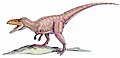 Eustreptospondylus