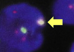 A yellow signal counts as one red and one green (which are overlapping)