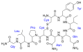 Oxytocin.svg