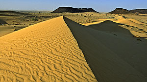 A view of the Termit Massif.