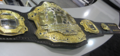 UFC heavyweight belt August 12, 2007