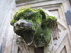 2008 in Père Lachaise 2.jpg