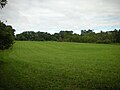 Image 9A field north of Fox Den Road along the Lenape Trail in Middle Run Valley Natural Area (from Delaware)