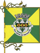 Bandeira de {{{município}}}