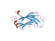 2fop: The crystal structure of the N-terminal domain of HAUSP/USP7 complexed with mdm2 peptide 147-150