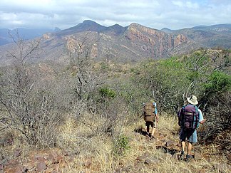 Wanderer im Soutpansberg