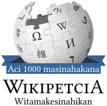 Atj-wikipedia 1000 articles.svg