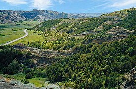 Tjóðargarður Theodore Roosevelt National Park